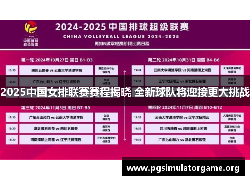 2025中国女排联赛赛程揭晓 全新球队将迎接更大挑战