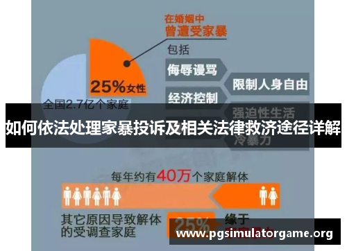 如何依法处理家暴投诉及相关法律救济途径详解