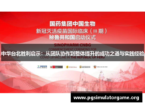 中华台北胜利启示：从团队协作到整体提升的成功之道与实践经验