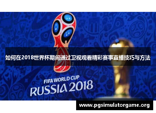 如何在2018世界杯期间通过卫视观看精彩赛事直播技巧与方法