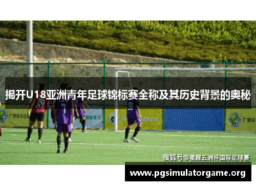揭开U18亚洲青年足球锦标赛全称及其历史背景的奥秘