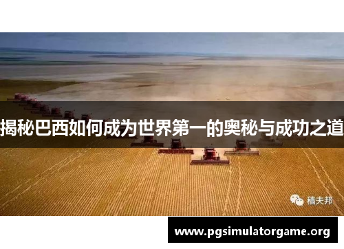 揭秘巴西如何成为世界第一的奥秘与成功之道