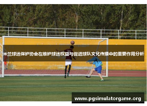 米兰球迷保护协会在维护球迷权益与促进球队文化传播中的重要作用分析