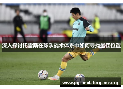 深入探讨托雷斯在球队战术体系中如何寻找最佳位置