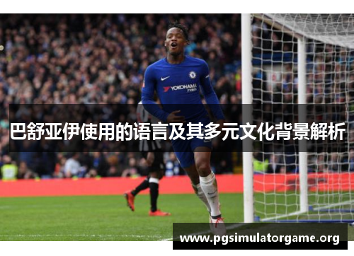 巴舒亚伊使用的语言及其多元文化背景解析