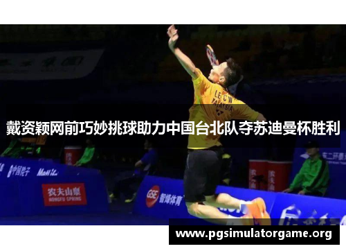 戴资颖网前巧妙挑球助力中国台北队夺苏迪曼杯胜利