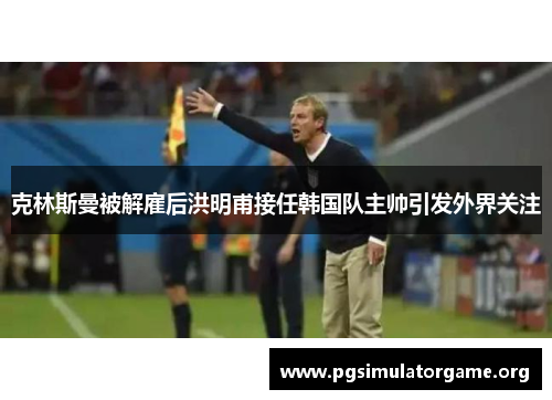 克林斯曼被解雇后洪明甫接任韩国队主帅引发外界关注 克林斯曼被解雇后洪明甫接任韩国队主帅引发外界关注