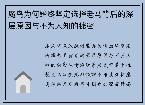 魔鸟为何始终坚定选择老马背后的深层原因与不为人知的秘密